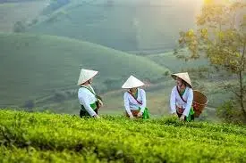FARMING