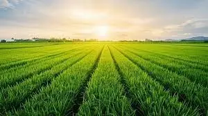 FARMER