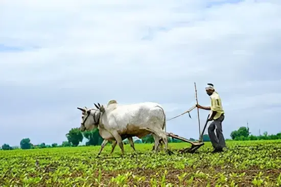 farmer