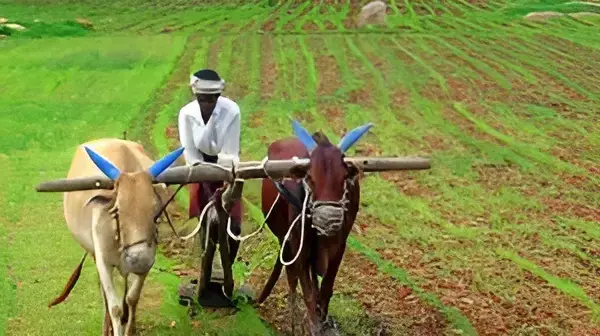 farming